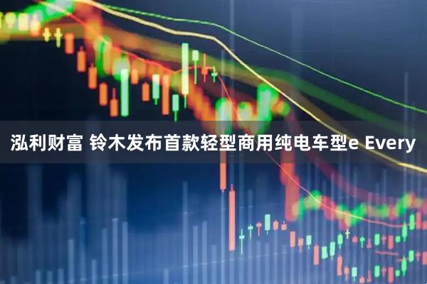 泓利财富 铃木发布首款轻型商用纯电车型e Every