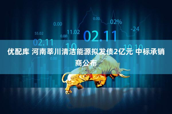 优配库 河南莘川清洁能源拟发债2亿元 中标承销商公布