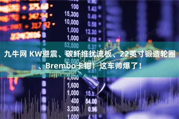 九牛网 KW避震、碳纤维扰流板、22英寸锻造轮圈、Brembo卡钳！这车帅爆了！