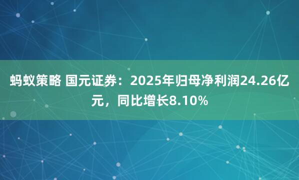 蚂蚁策略 国元证券：2025年归母净利润24.26亿元，同比增长8.10%