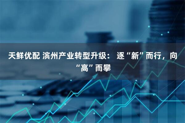 天鲜优配 滨州产业转型升级： 逐“新”而行，向“高”而攀