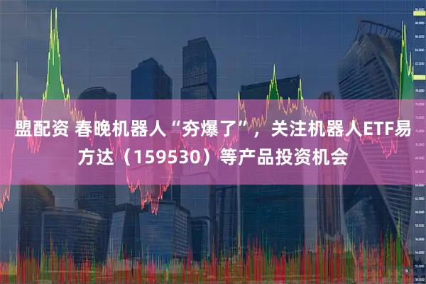 盟配资 春晚机器人“夯爆了”，关注机器人ETF易方达（159530）等产品投资机会