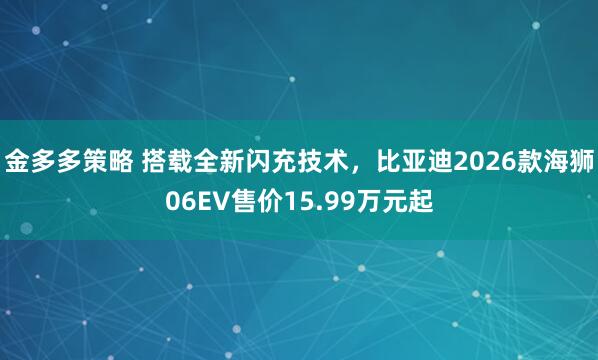 金多多策略 搭载全新闪充技术，比亚迪2026款海狮06EV售价15.99万元起