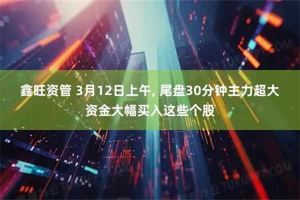 鑫旺资管 3月12日上午, 尾盘30分钟主力超大资金大幅买入这些个股