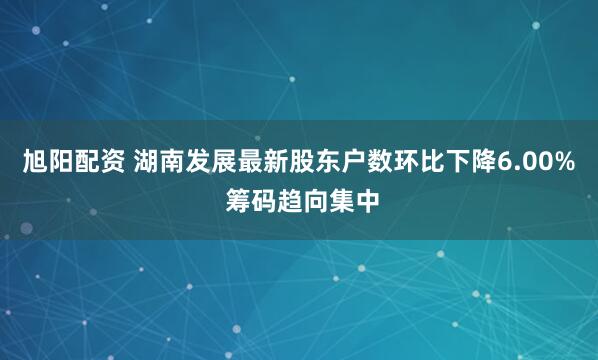 旭阳配资 湖南发展最新股东户数环比下降6.00% 筹码趋向集中