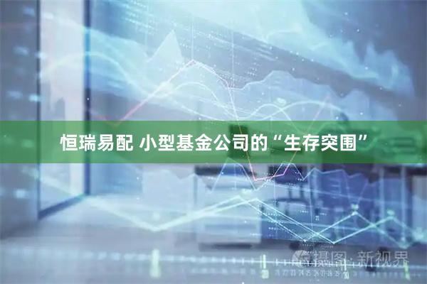 恒瑞易配 小型基金公司的“生存突围”