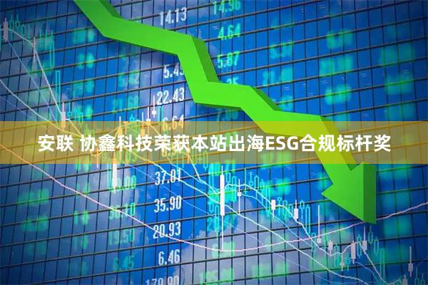 安联 协鑫科技荣获本站出海ESG合规标杆奖